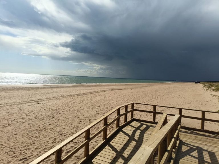 photo_2025-03-30_21-56-05