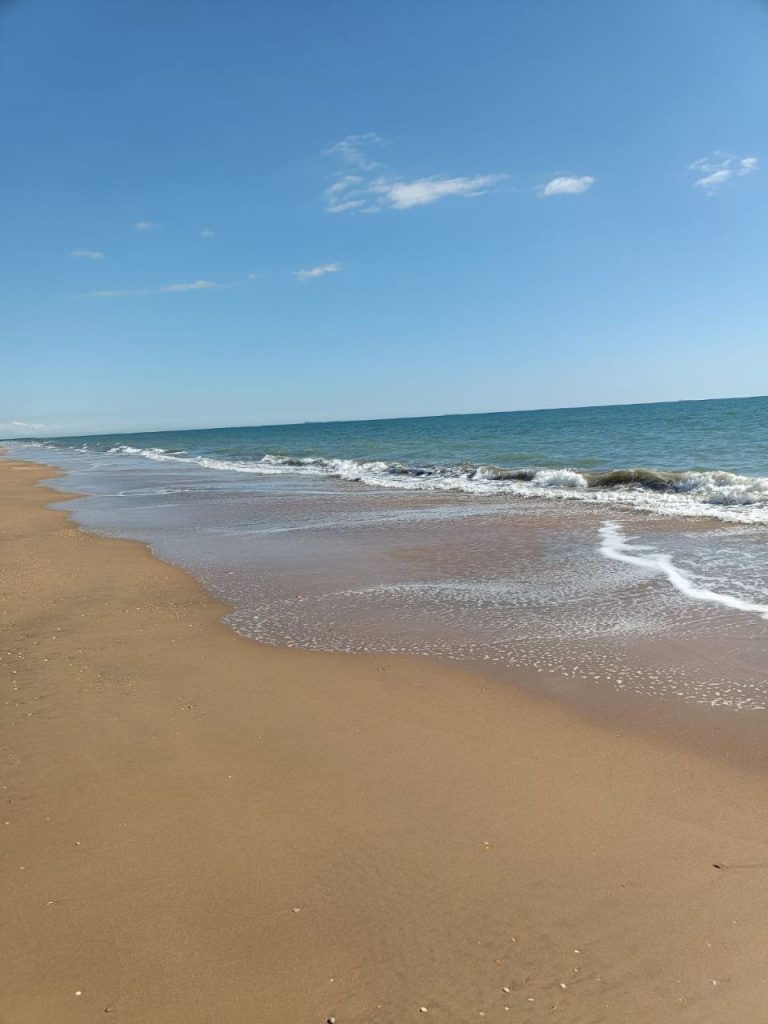 photo_2025-03-30_21-56-45 (3)