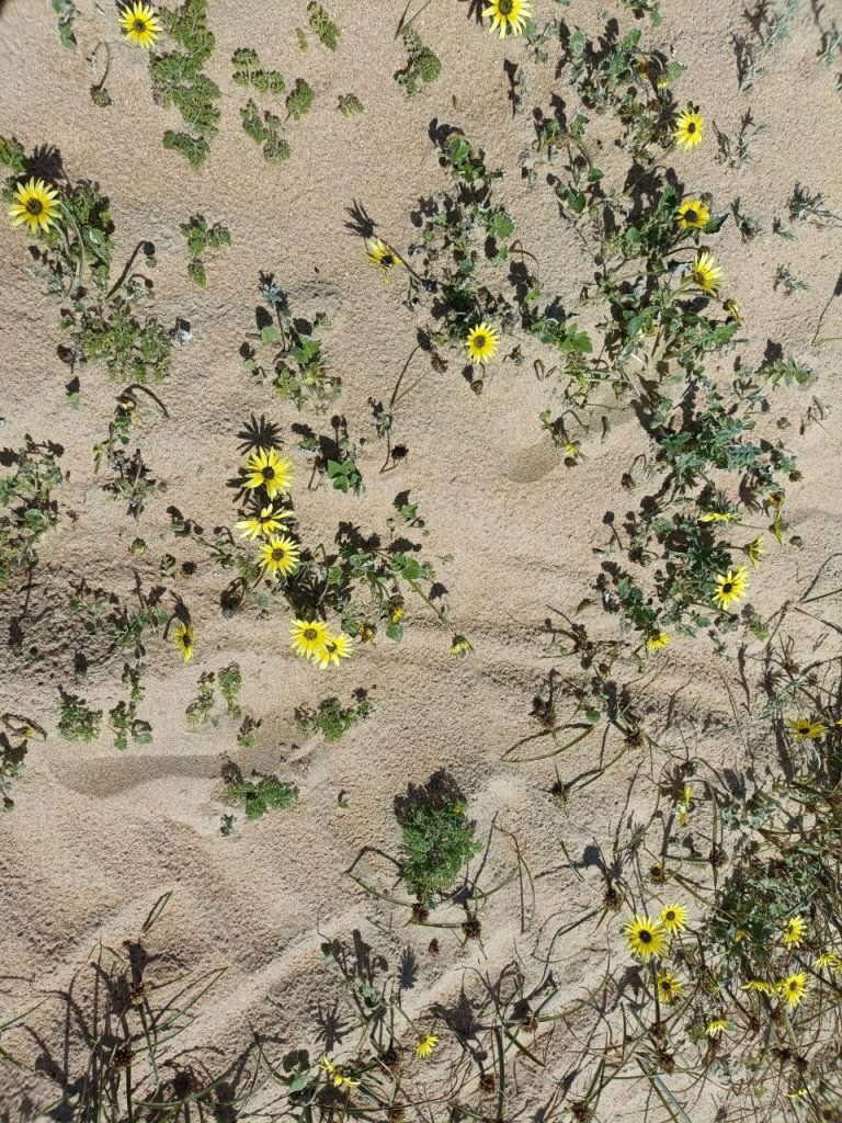 photo_2025-03-30_23-19-10